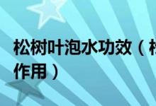 松樹葉泡水功效（松樹葉子泡水喝有哪些功效作用）