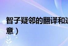 智子疑鄰的翻譯和道理（智子疑鄰的翻譯及寓意）