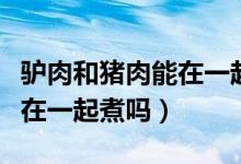 驢肉和豬肉能在一起包餃子嗎（驢肉和豬肉能在一起煮嗎）