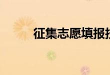征集志愿填報(bào)技巧（流程是什么）