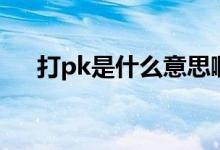 打pk是什么意思?。ù騪k是什么意思）