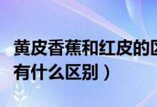 黃皮香蕉和紅皮的區(qū)別（紅皮香蕉和黃皮香蕉有什么區(qū)別）