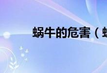 蝸牛的危害（蝸牛的危害有什么）