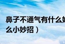 鼻子不通氣有什么好辦法嗎（鼻子不通氣有什么小妙招）