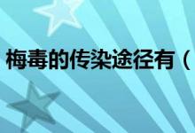 梅毒的傳染途徑有（梅毒的傳染途徑是什么）