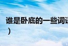 誰是臥底的一些詞語（誰是臥底的詞語有哪些）