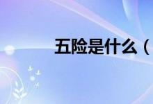 五險是什么（五險有什么特點）