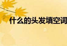 什么的頭發(fā)填空詞語(yǔ)（頭發(fā)的詞語(yǔ)搭配）