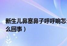 新生兒鼻塞鼻子呼呼響怎么緩解（新生兒鼻塞鼻子呼呼響怎么回事）