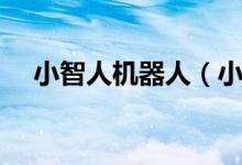 小智人機(jī)器人（小智機(jī)器人有什么功能）