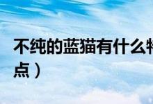 不純的藍(lán)貓有什么特征（不純的藍(lán)貓有什么特點(diǎn)）