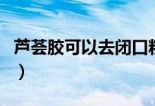 蘆薈膠可以去閉口粉刺嗎（蘆薈膠可以去疤嗎）
