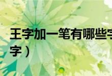 王字加一筆有哪些字大全（王字加一筆有哪些字）