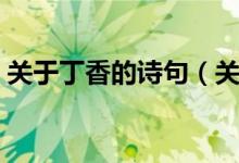 關(guān)于丁香的詩(shī)句（關(guān)于丁香的詩(shī)句及其釋義）