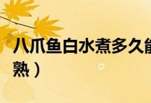 八爪魚白水煮多久能熟（八爪魚白水煮多久能熟）
