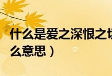 什么是愛之深恨之切（愛之深恨之切這句話什么意思）