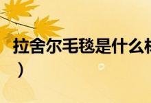 拉舍爾毛毯是什么材質（拉舍爾毛毯是何材質）