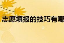 志愿填報(bào)的技巧有哪些（怎么報(bào)志愿比較好）