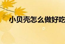 小貝殼怎么做好吃（怎么做小貝殼好吃）