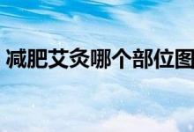 減肥艾灸哪個(gè)部位圖解（減肥艾灸哪個(gè)部位）