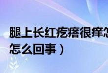 腿上長紅疙瘩很癢怎么治（腿上長紅疙瘩很癢怎么回事）