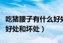 吃豬腰子有什么好處和功效（吃豬腰子有什么好處和壞處）