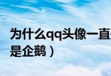 為什么qq頭像一直是企鵝（QQ頭像為什么會是企鵝）