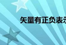 矢量有正負(fù)表示嗎（矢量有哪些）