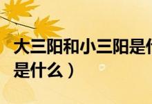 大三陽(yáng)和小三陽(yáng)是什么意思（大三陽(yáng)和小三陽(yáng)是什么）