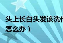頭上長白頭發(fā)該洗什么洗發(fā)水（頭上長白頭發(fā)怎么辦）