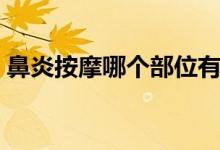 鼻炎按摩哪個部位有圖（鼻炎按摩哪個部位）