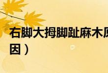 右腳大拇腳趾麻木原因（右腳大拇腳趾麻木原因）