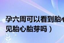 孕六周可以看到胎心胎芽了嗎（懷孕六周能看見胎心胎芽嗎）
