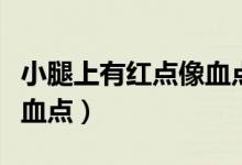 小腿上有紅點(diǎn)像血點(diǎn)還很癢（小腿上有紅點(diǎn)像血點(diǎn)）