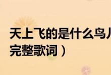 天上飛的是什么鳥兒還是云朵歌名（天籟之愛完整歌詞）