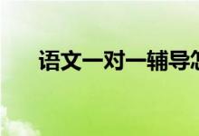 語文一對一輔導(dǎo)怎么教（方法是什么）