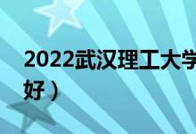 2022武漢理工大學(xué)專業(yè)排名（哪些專業(yè)比較好）