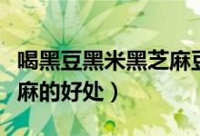喝黑豆黑米黑芝麻豆?jié){好嗎（喝黑豆黑米黑芝麻的好處）