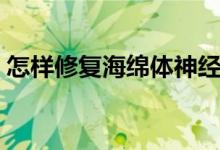 怎樣修復(fù)海綿體神經(jīng)（怎樣修復(fù)海綿體受損）