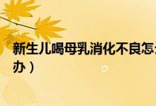新生兒喝母乳消化不良怎么辦（新生兒喝母乳消化不良怎么辦）