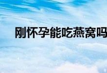 剛懷孕能吃燕窩嗎（剛懷孕能吃螃蟹嗎）