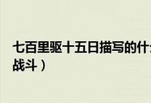七百里驅(qū)十五日描寫的什么戰(zhàn)斗（700里驅(qū)15日描寫的什么戰(zhàn)斗）
