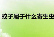 蚊子屬于什么寄生蟲（蚊子屬于什么類動(dòng)物）