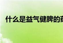 什么是益氣健脾的藥（什么是益氣聰明湯）