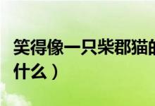 笑得像一只柴郡貓的意思（柴郡貓的微笑代表什么）