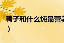 鴨子和什么燉最營養(yǎng)（鴨子和什么燉最有營養(yǎng)）