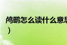 鸕鶿怎么讀什么意思（鸕鶿怎么讀寓意好不好）
