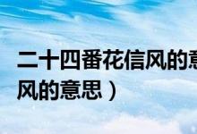 二十四番花信風(fēng)的意思是什么（二十四番花信風(fēng)的意思）