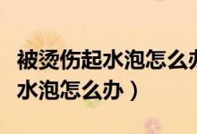 被燙傷起水泡怎么辦最簡單的辦法（被燙傷起水泡怎么辦）