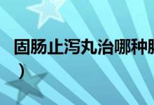 固腸止瀉丸治哪種腸炎（固腸止瀉丸治腸炎嗎）